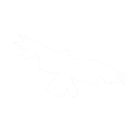 bf-logo-bird-logo-transparent